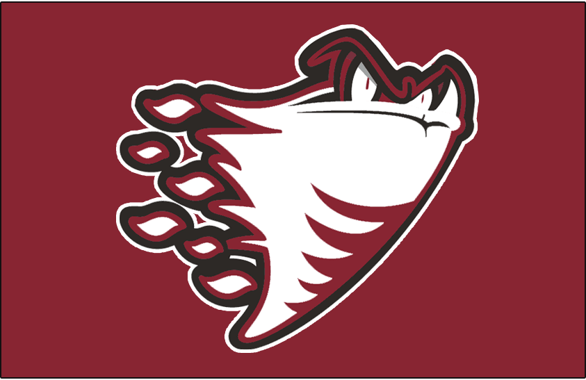 Guelph Storm 2000-2003 Jersey Logo iron on heat transfer...